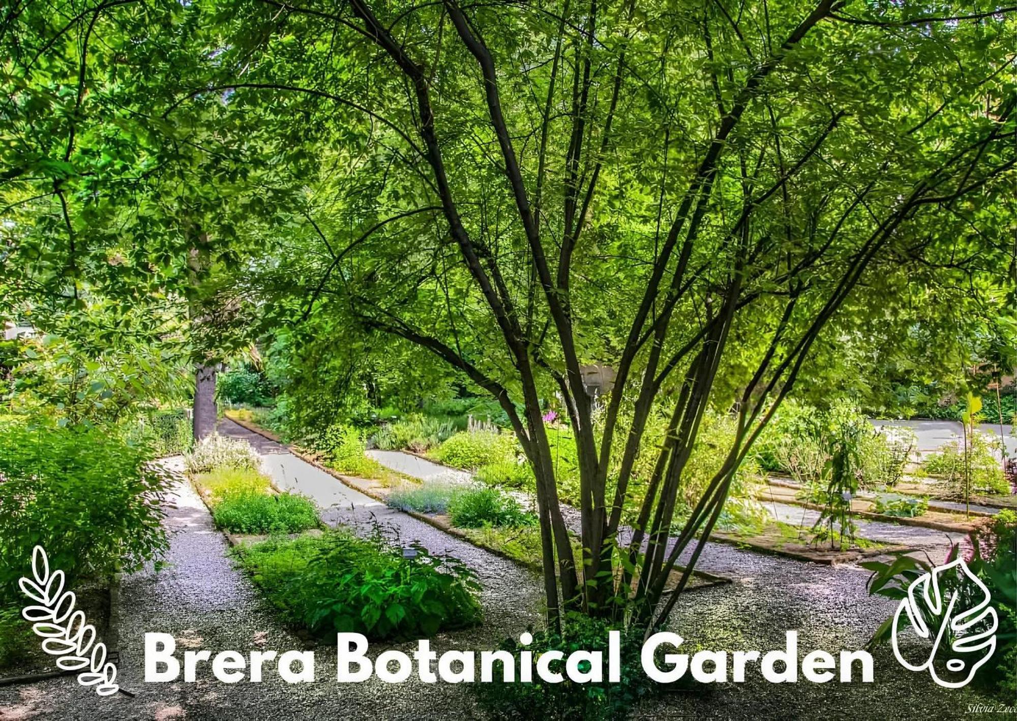 Brera Vip Spotlight - Brera - Duomo - Castello Sforzesco - Lanza Metro M2 Apartment Milano Ngoại thất bức ảnh
